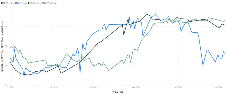 Nota de novedades Datagro uruguay