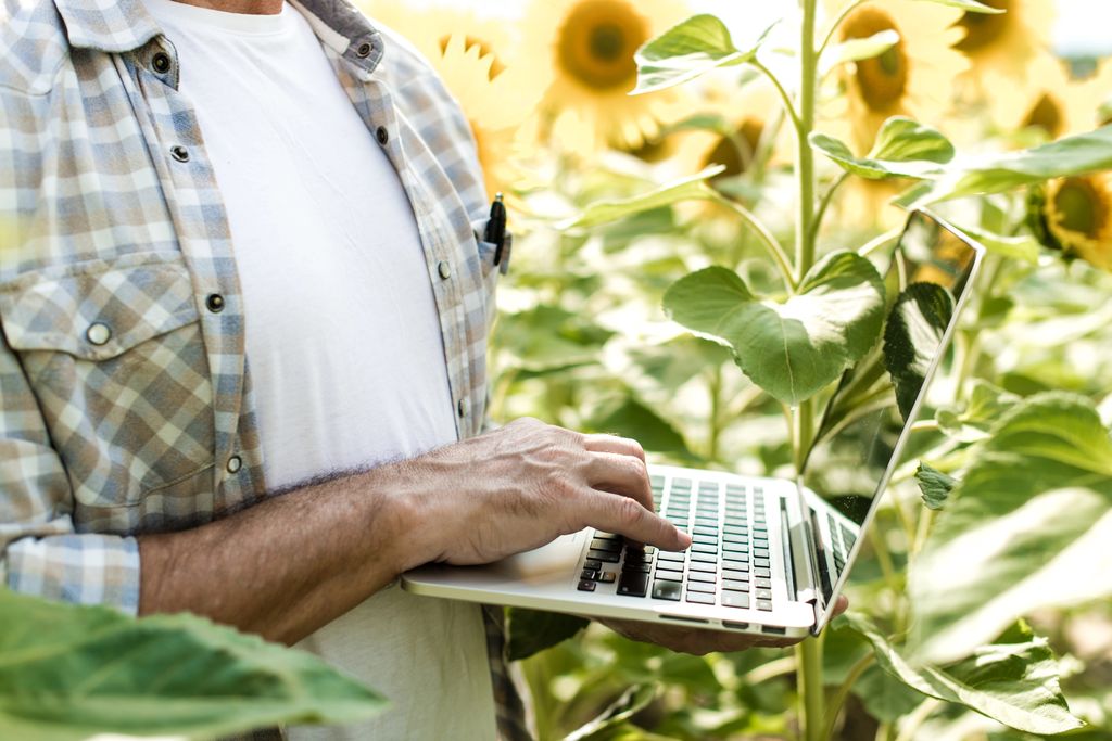 BUISNESS INTELLIGENCE datAgro